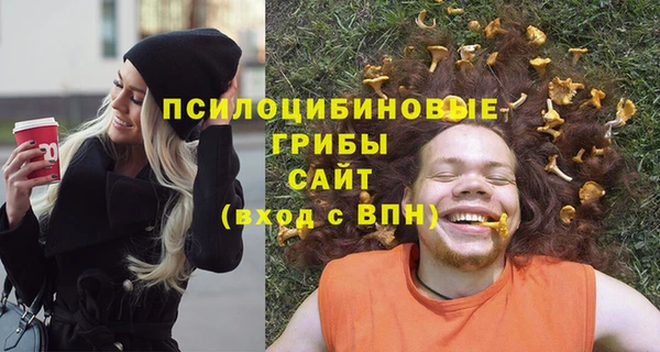 a pvp Гусев