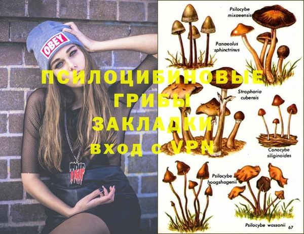 марки lsd Гусь-Хрустальный